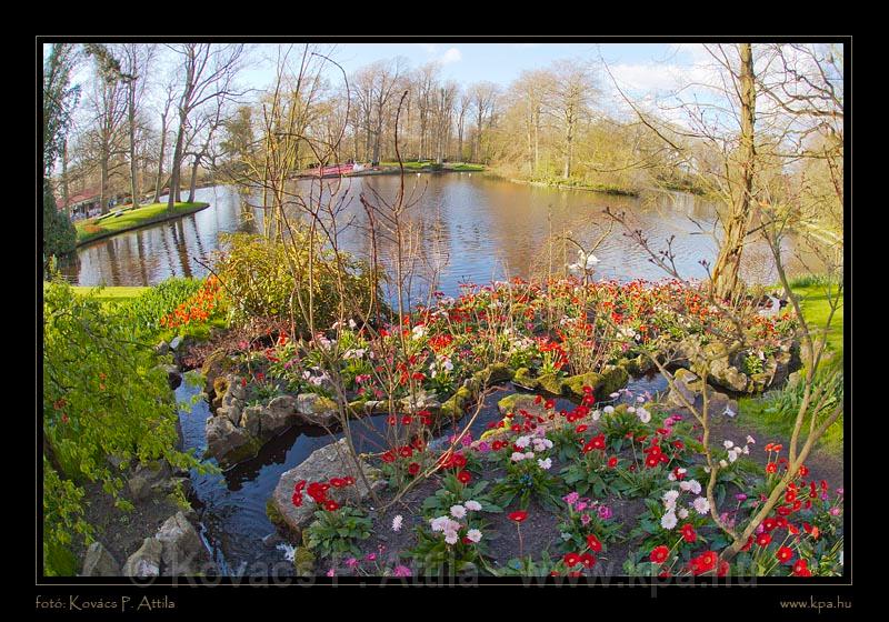 Keukenhof Hollandia 114.jpg